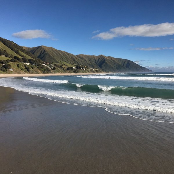 Comment organiser un camping pour observer la faune nocturne en forêt tropicale?